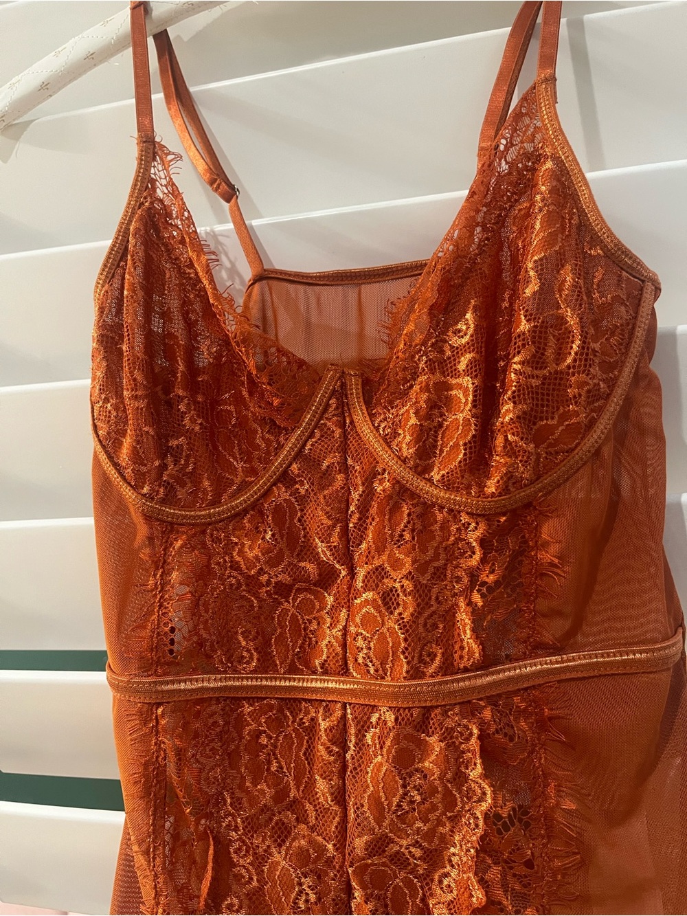 Rust Lace Mesh Bodysuit - Picture 3 of 5